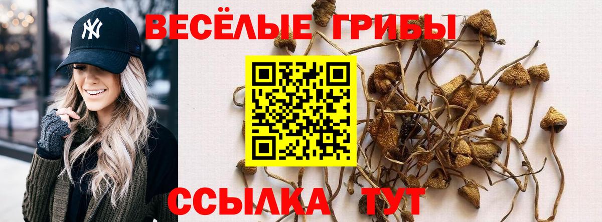 Каменск-Шахтинский  Галлюциногенные грибы Psilocybe  Вход с VPN 