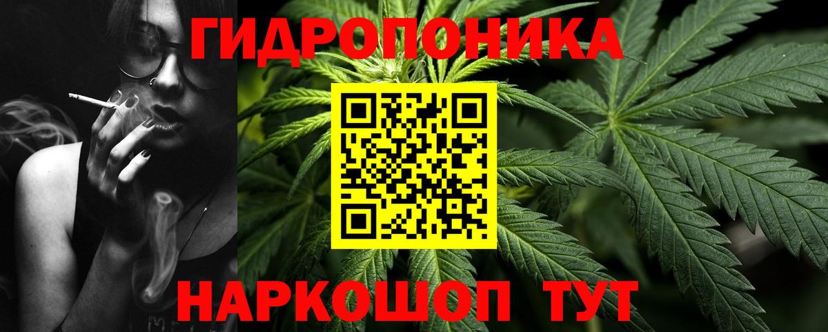 Конопля сатива  Вход с VPN  Конопля план  Шишки марихуана OG Kush  Каменск-Шахтинский 